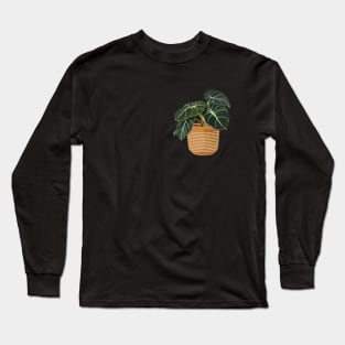 Alocasia black velvet Long Sleeve T-Shirt